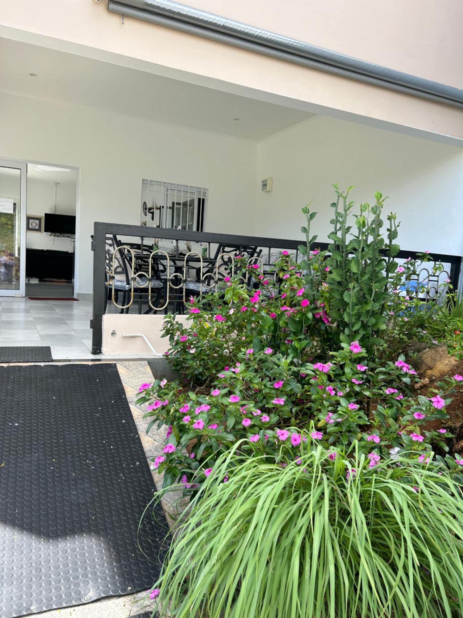 Apartament The Olive Tree Misere Zewnętrze zdjęcie